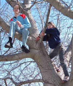 Sarah and Anna climbing one of our walnut trees (53 kb)